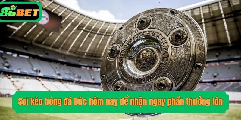 Soi kèo bóng đá Đức hôm nay để nhận ngay phần thưởng lớn